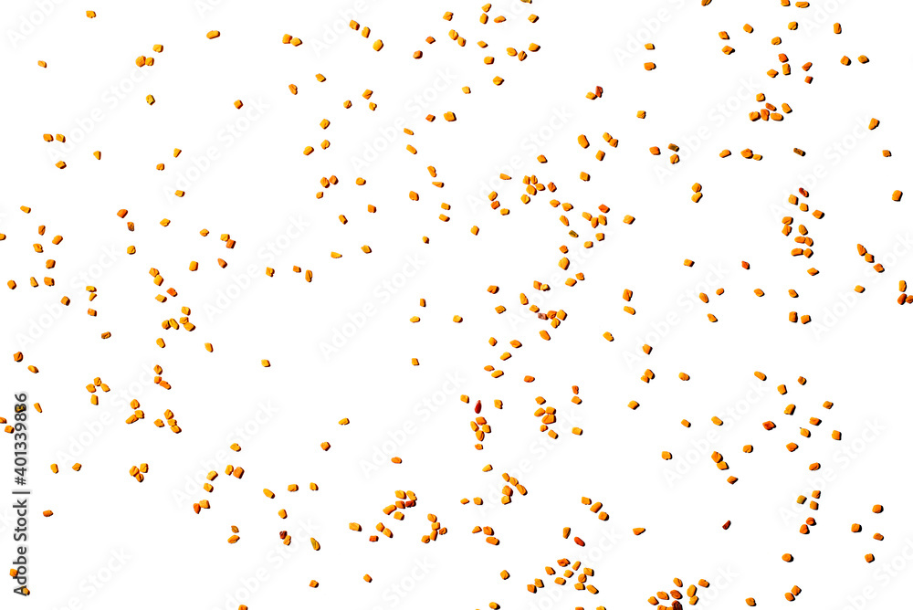 Scattered fenugreek grains isolated on white background, top view