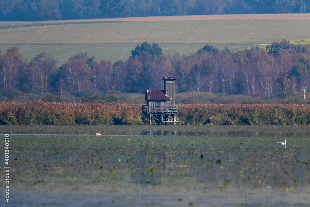 Fototapeta premium Landschaft, Federsee, Bad Buchau, Baden-Württemberg