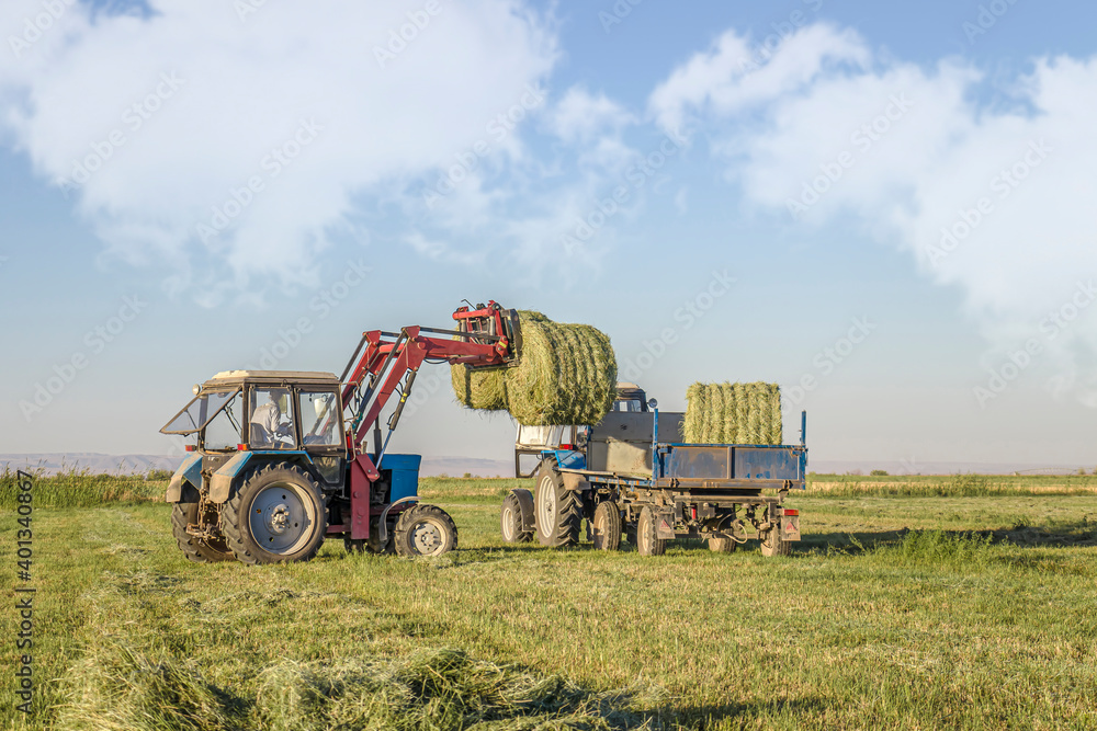 Obraz premium Bales of hay are loaded onto a trailer by a tractor in the countryside during the summer season