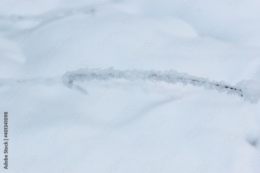 Beautiful snowy winter forest with trees covered with frost and snow close up. Nature winter background with snow-covered branches. white frost on trees, white drifts Road, trail in the winter forest