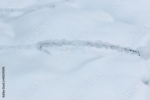 Beautiful snowy winter forest with trees covered with frost and snow close up. Nature winter background with snow-covered branches. white frost on trees, white drifts Road, trail in the winter forest