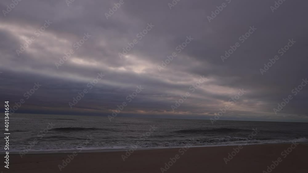 Overcast Sky Over Seascape Of Crashing Waves With Domestic Dog Passing By. - Static Shot Overcast Sky Over Seascape Of Crashing Waves With Domestic Dog Passing By. - Static Shot