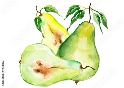 Watercolor set of hand drawn isolated pear fruits on white background. ripe juicy isolated hand painted, fresh exotic food golden green for food label design. Slice, section of a pear.Watercolor logo