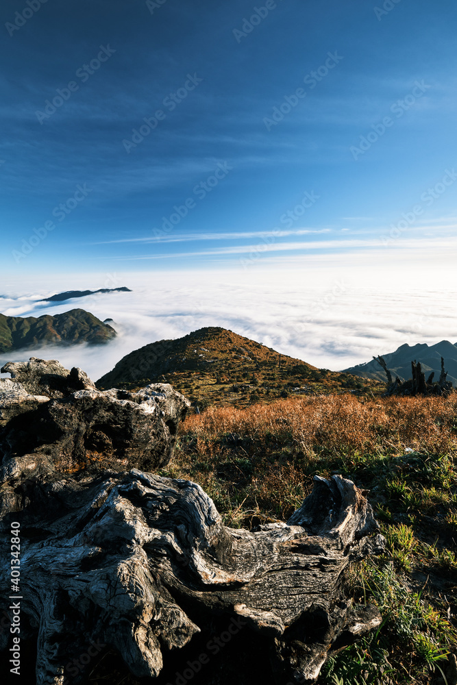 Fototapeta premium Beautiful landscape of Northwest Vietnam