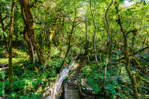 Stone and wooden stairs in mysterious forest. Hiking trail for hiking tours