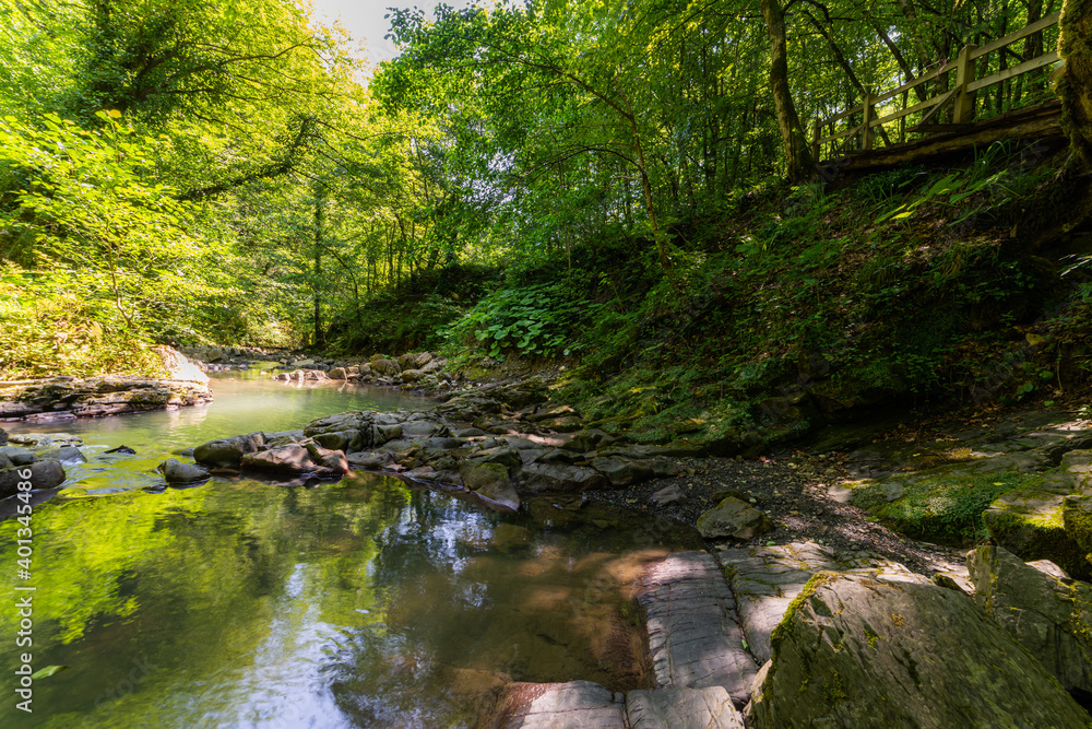 Small river or stream in deep forest