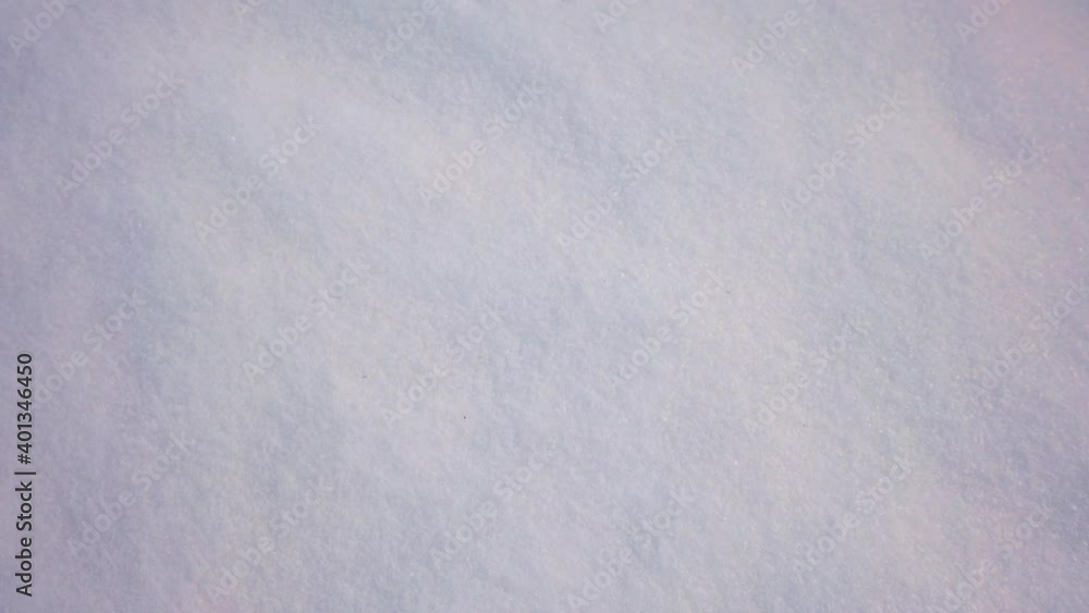 Animal tracks and foot prints in the winter snow Animal tracks and foot prints in the winter snow