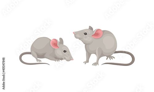 Mouse as Small Rodent with Rounded Ears and Grey Coat in Different Poses Vector Set