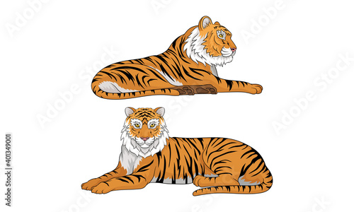 Tiger as Large Cat Specie with Dark Vertical Stripes on Orange-brown Fur Vector Set