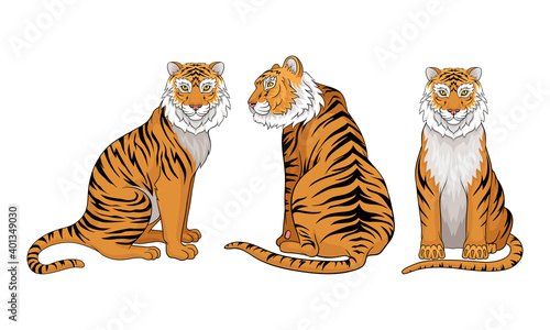 Tiger as Large Cat Specie with Dark Vertical Stripes on Orange-brown Fur Vector Set