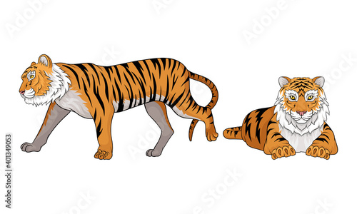 Tiger as Large Cat Specie with Dark Vertical Stripes on Orange-brown Fur Vector Set