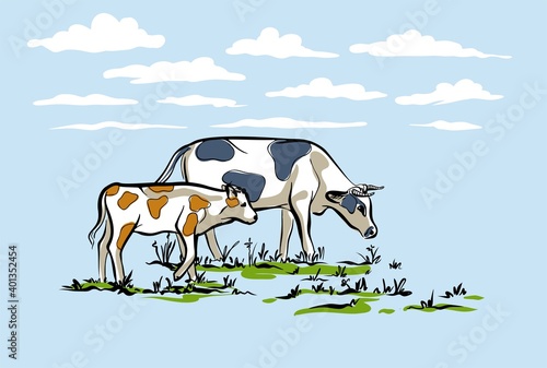 Cow and calf walking on the lawn. Stylish horizontal illustration in a delicate blue color. Vector.