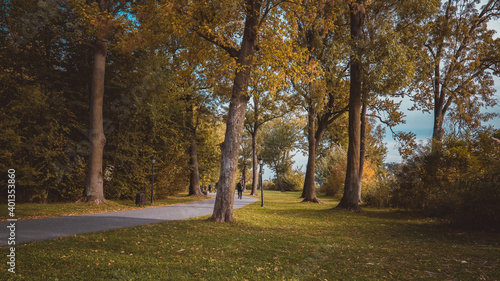 walking in the park