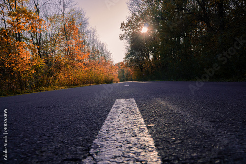 road in autumn