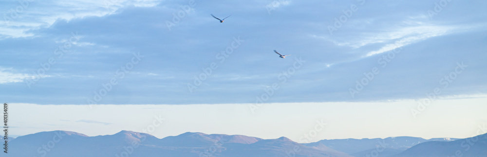 Birds over mountains and gold sunset. Birds over mountains and gold sunset.