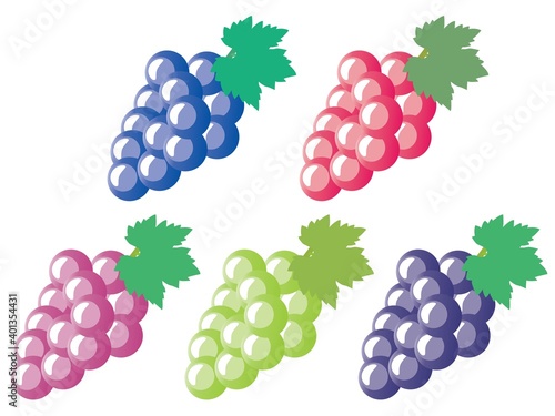 紫や緑や赤のいろんなブドウの房のセット