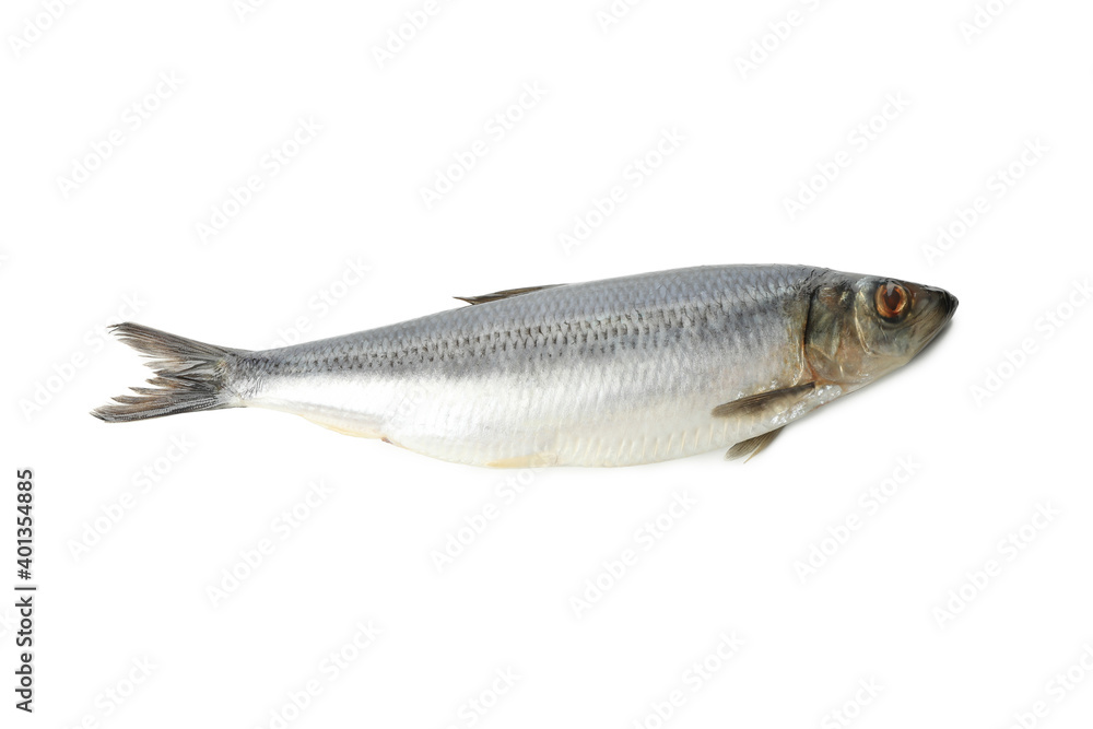 Fresh herring fish isolated on white background Fresh herring fish isolated on white background