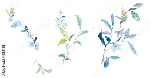 Watercolor illustration of flowers and leaves.Manual composition.Design for cover, fabric, textile, wrapping paper .