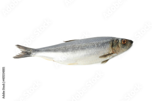 Fresh herring fish isolated on white background