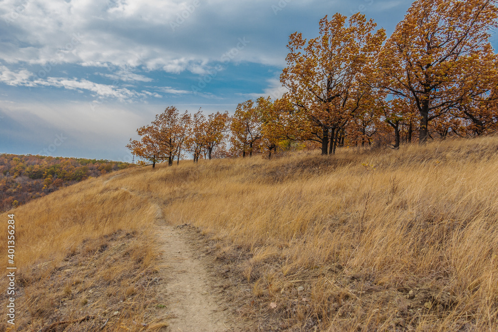 trail through the autumn forest high on the mountain