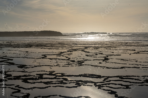 golden evening light reflectiing in tidal pools on a rocky beach with the ocean behind