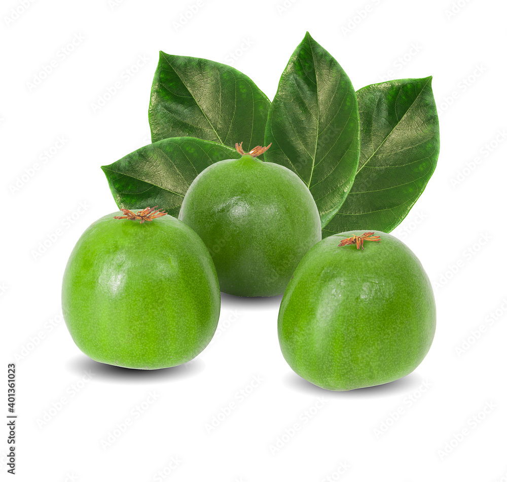 mini kiwi baby fruit on a white background mini kiwi baby fruit on a white background