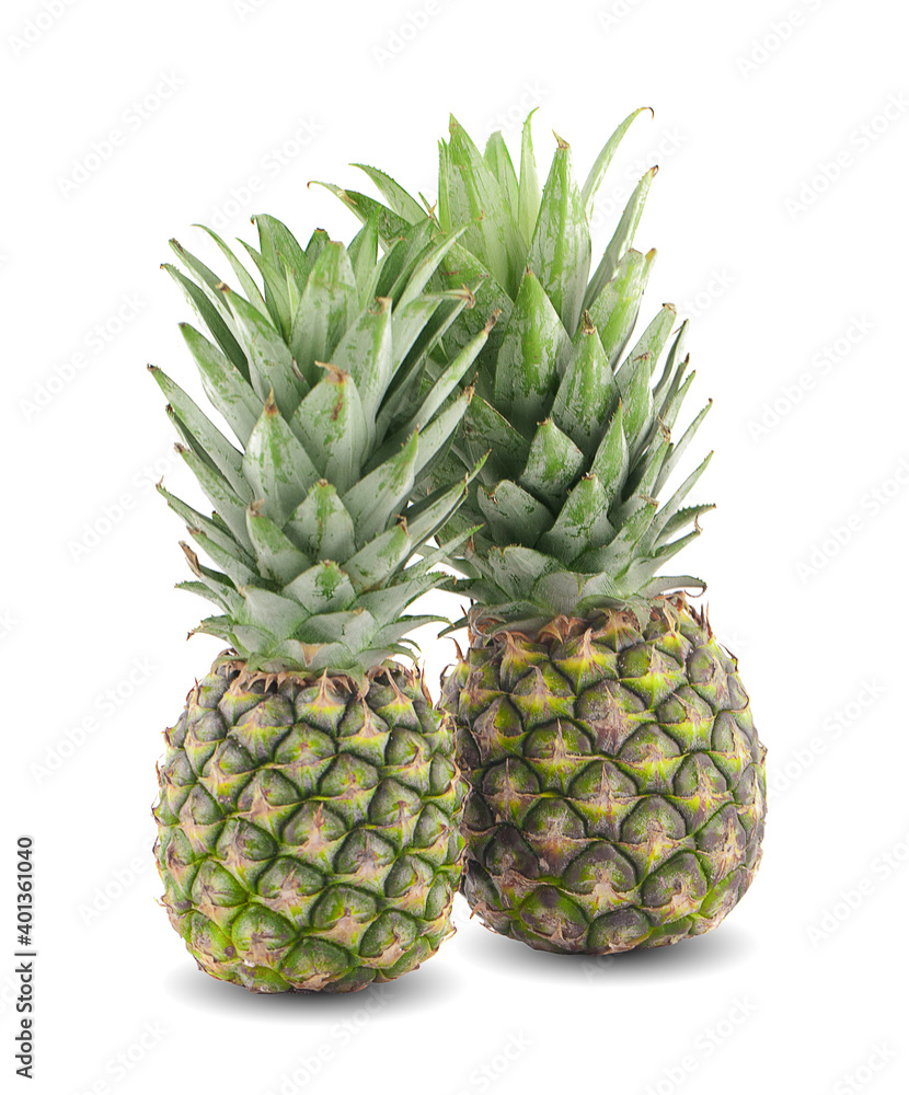 pineapple an isolated on a white background pineapple an isolated on a white background