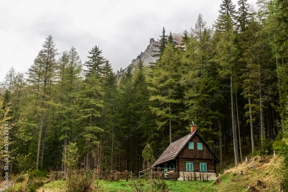 house in the forest and mountains while hiking in the spring