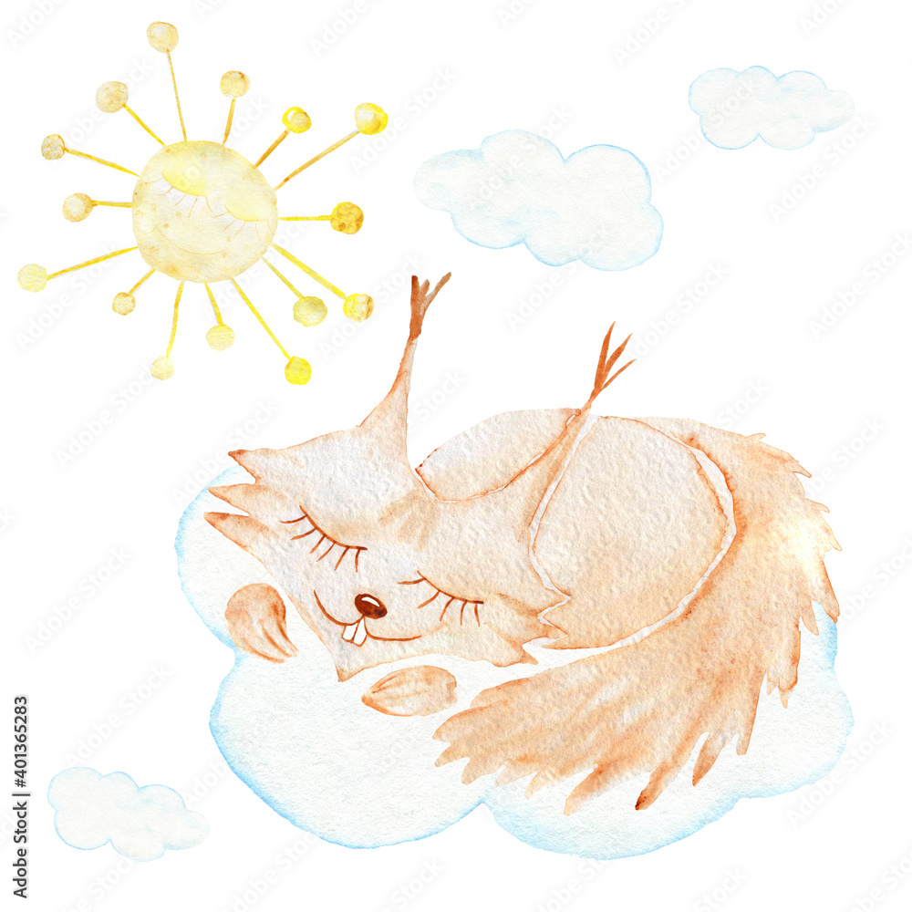 Obraz premium Watercolor squirrel, sun . Sleeping animals. Forest dwellers. Children's Illustration.