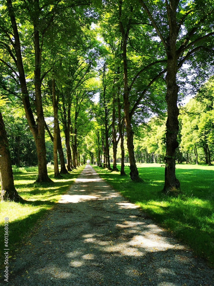 Obraz premium Chiemsee