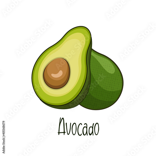 isolated avocado vector, avocado illustration cartoon styleisolated avocado fruit vector, avocado illustration cartoon style