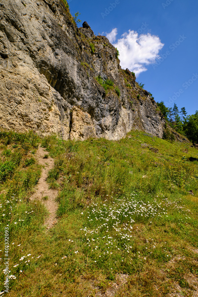 Landschaft und Felsenhänge im Kleinziegenfelder Tal, Fränkische Schweiz, Landkreis Lichtenfels, Oberfranken, Franken, Bayern, Deutschland