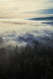 Aerial view of rural landscape and forest in the winter fog, moody atmosphere