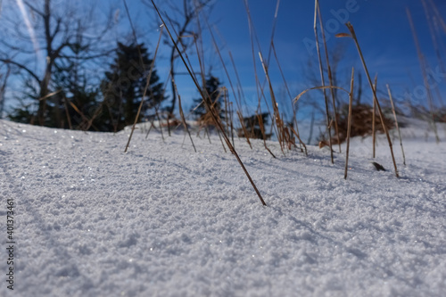 glittering snow in the sun while hiking in the winter