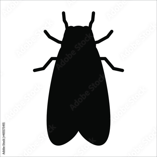 cicada icon. animal sign. vector illustration