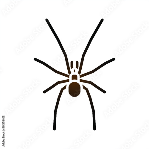 spider icon. arachnid vector. animals sign. vector illustration © Uswa KDT