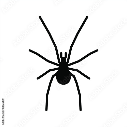 spider icon. arachnid vector. animals sign. vector illustration