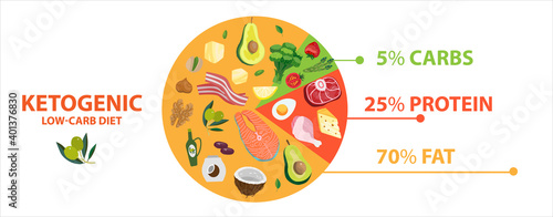 Keto diet food diagram circle chart. Ketogenic info graphic pie of healthy nutrition. Vector illustration banner with low-carb diet macros basic information of dietic products with data indicators.