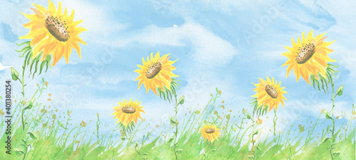 watercolor illustration. wild grass  flowers  plants  sky. Rural landscape with grass in the wind. Sunflower flower. Country summer landscape. Sunflower seeds. Label