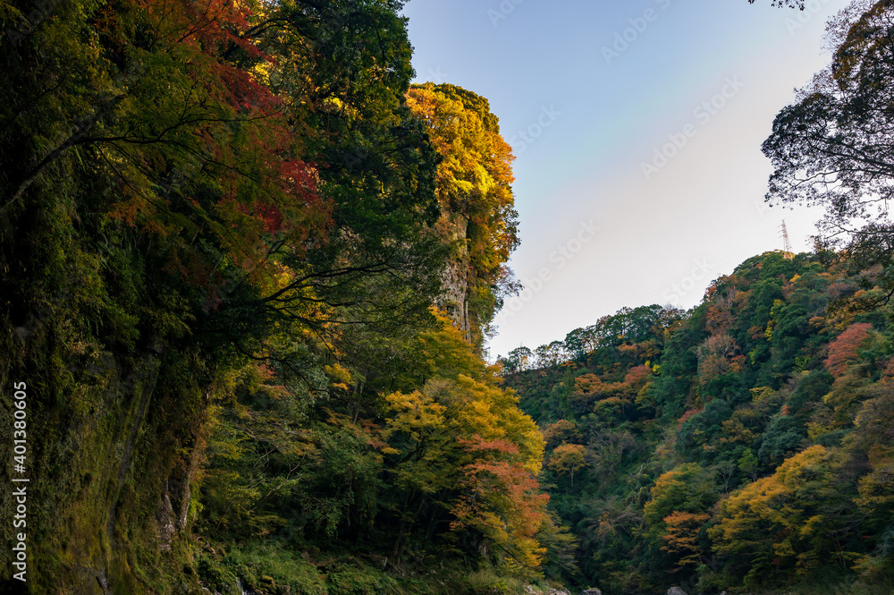 Fototapeta premium 秋の高千穂峡