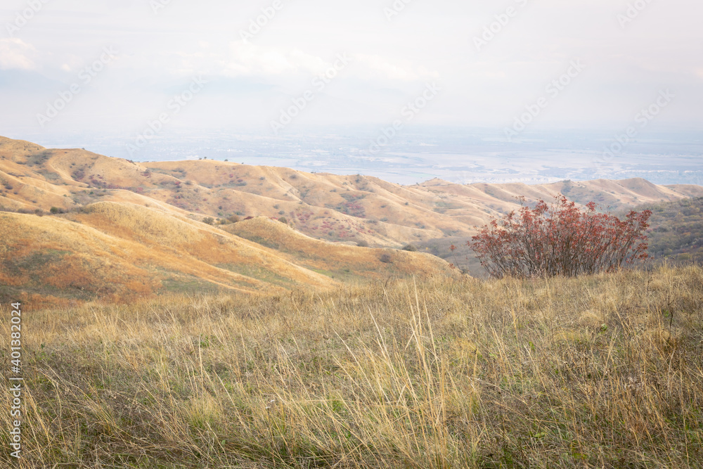 Panoramic views of vashlovani national park from black mountain