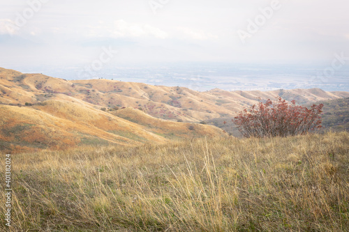 Panoramic views of vashlovani national park from black mountain