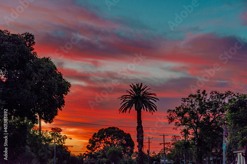 sunset in the city