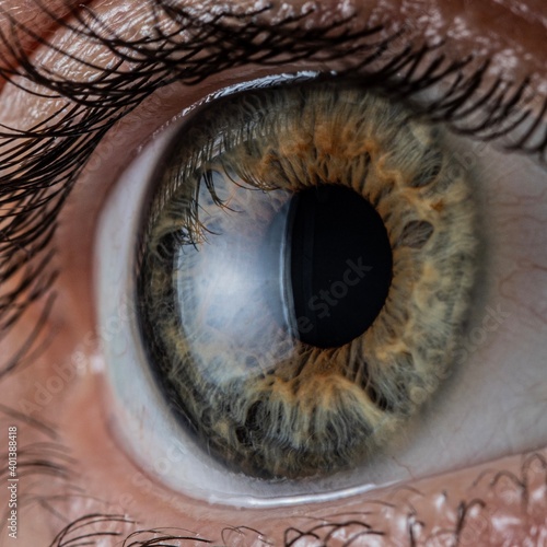 Φωτογραφία green eye macro