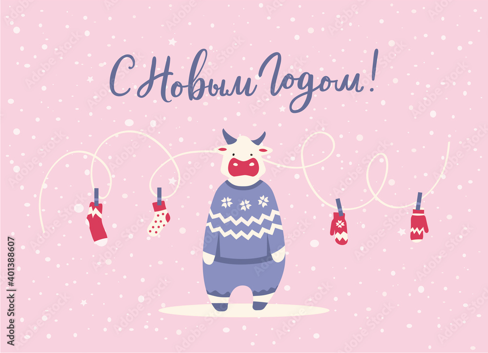 Ox or bull as a symbol of chinese new year. Text in russian lahguage. Cute cow wearing winter sweater. Mittens and socks drying on a rope. Cyrillic lettering for greeting card or postcard or poster.