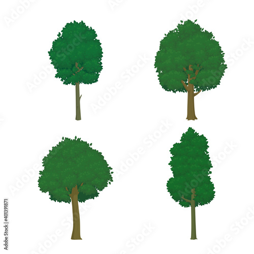 Set of trees with lush green leaves isolated on a white background. Summer  spring icon. Vector illustration.