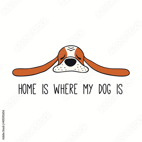 Cute funny basset hound, puppy, quote Home is where my dog is. Hand drawn color vector illustration, isolated on white. Line art. Pet logo, icon. Design concept trendy poster, t-shirt, fashion print.