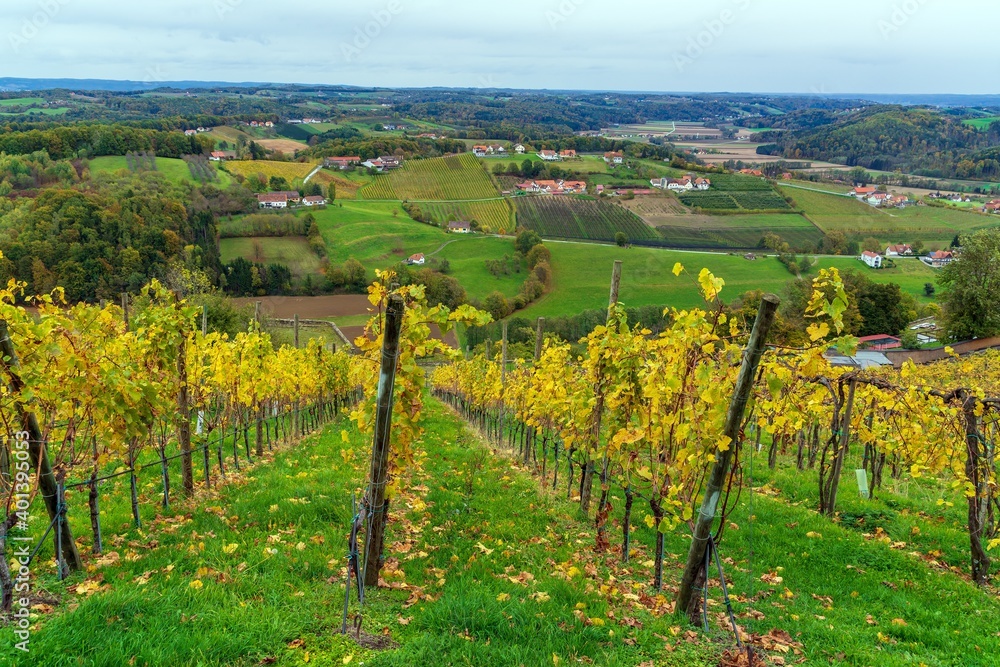 Vineyards surrounding castle Riegersburg, Styria, Austria