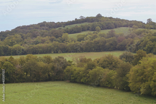 autumn landscape in the mountains