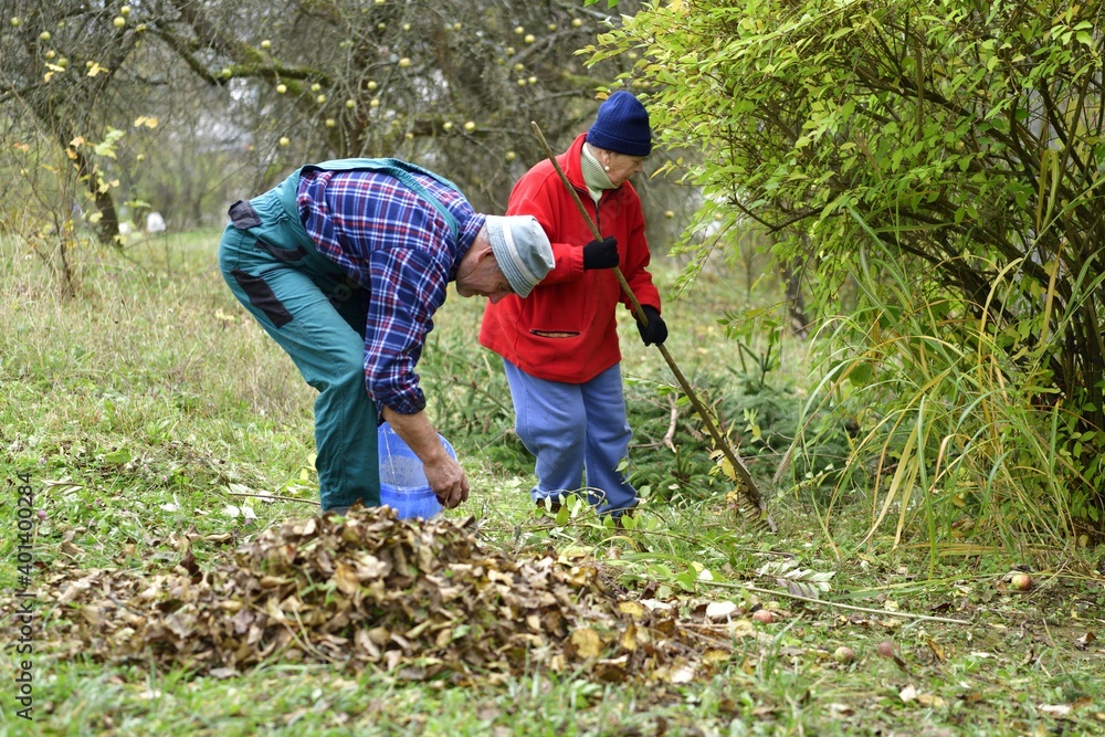 Autumn garden work and leaf cleaning before winter Autumn garden work and leaf cleaning before winter